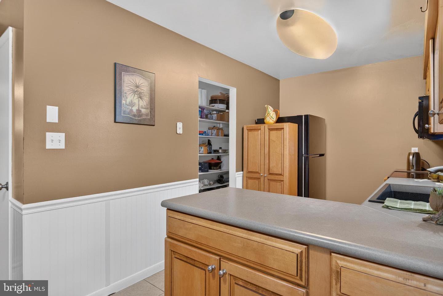 1088 Monticello Lane photo 9