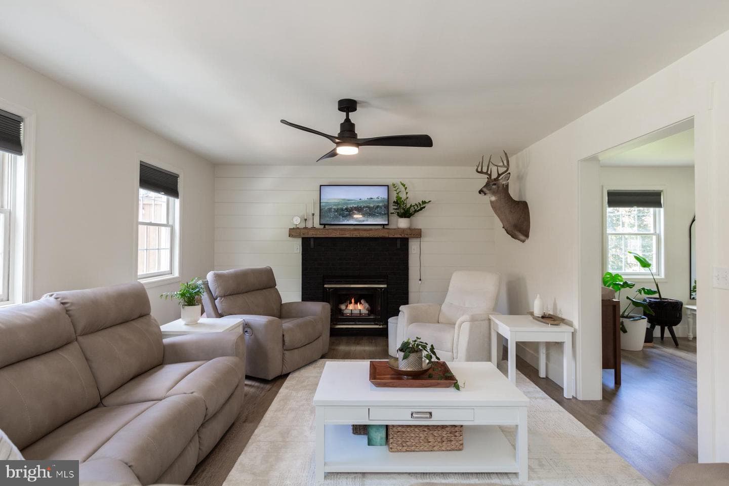 26 Apricot Avenue photo 19