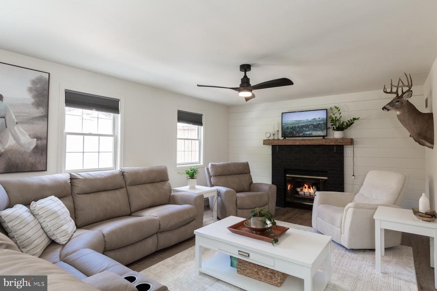 26 Apricot Avenue photo 20