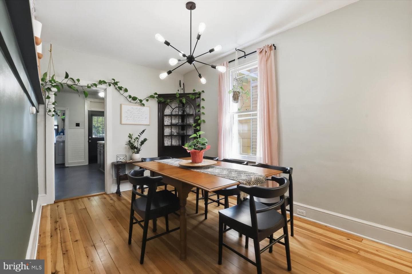280 Duke Street photo 5