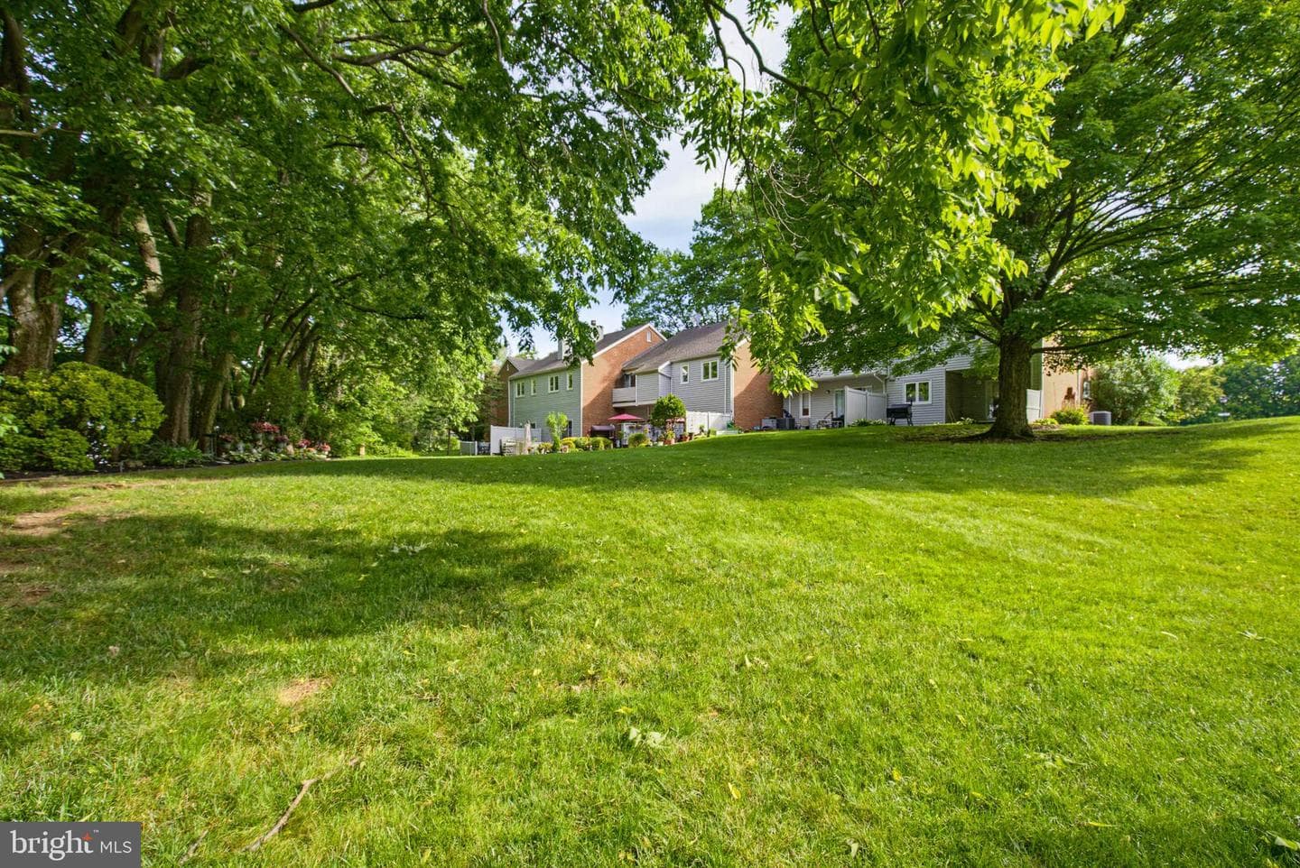 20 Beechtree Lane photo 35