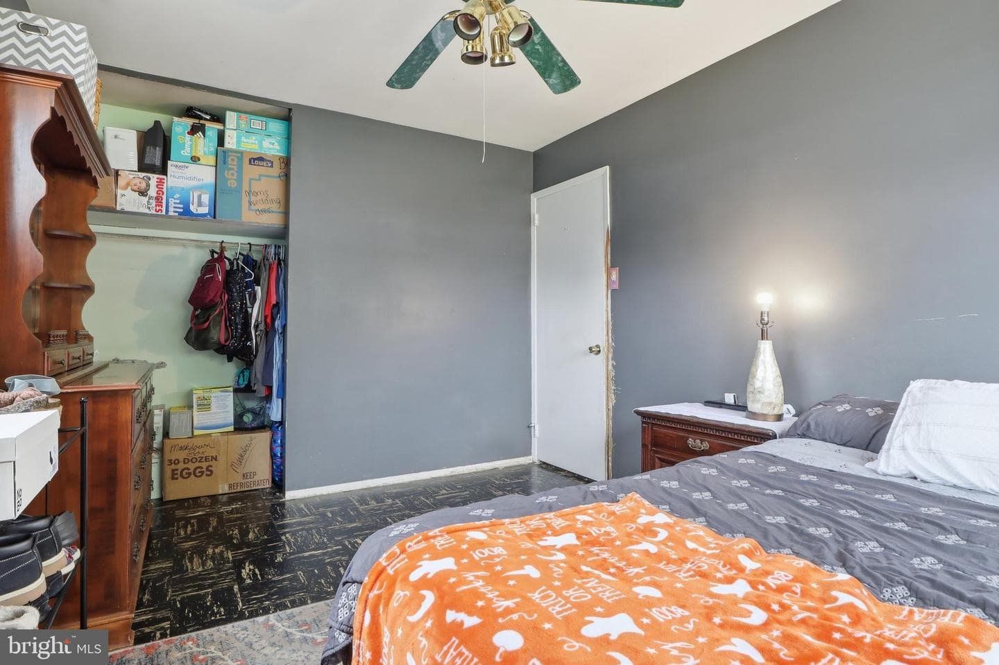 4 Conoy Road photo 15
