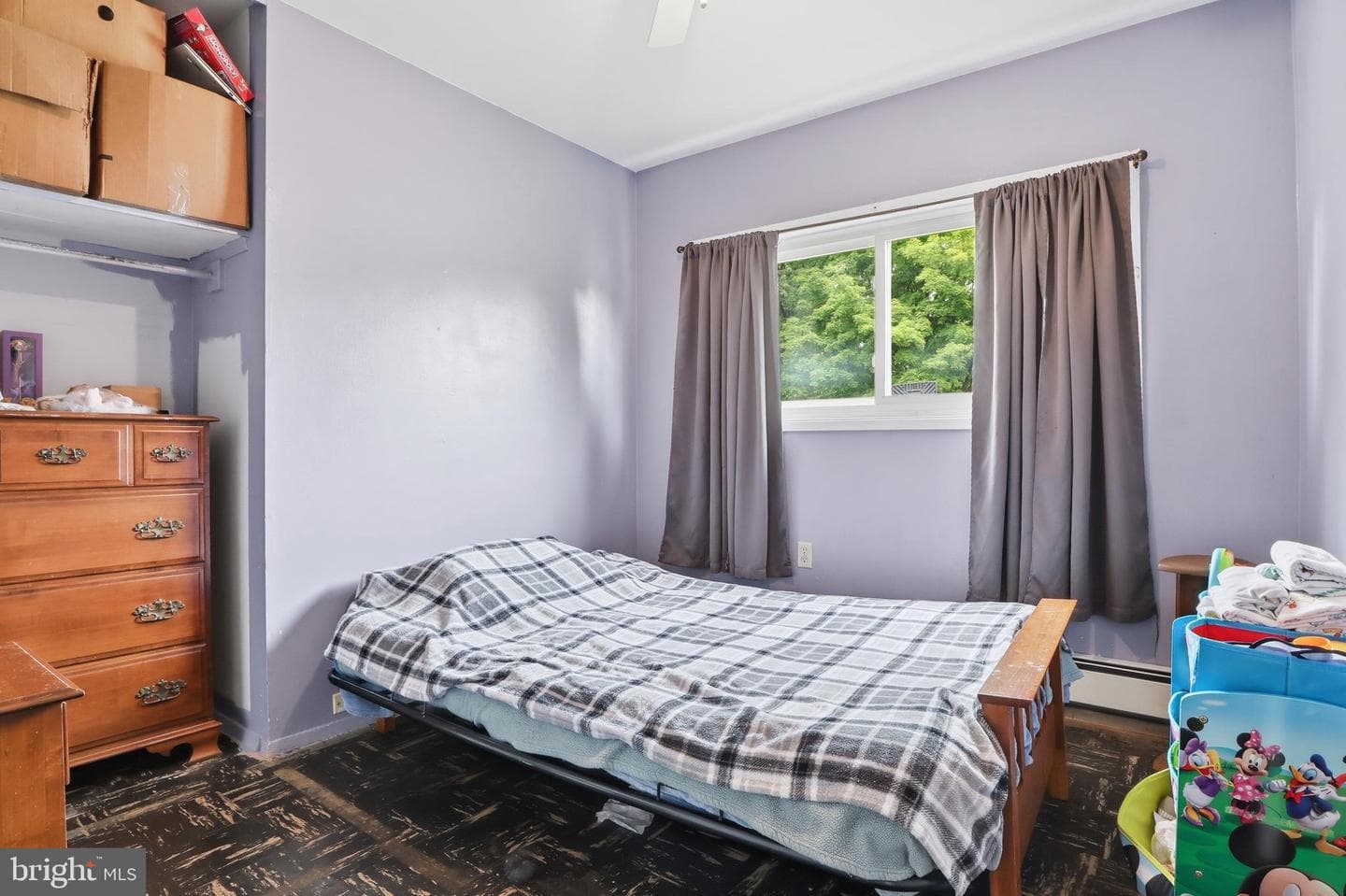 4 Conoy Road photo 16