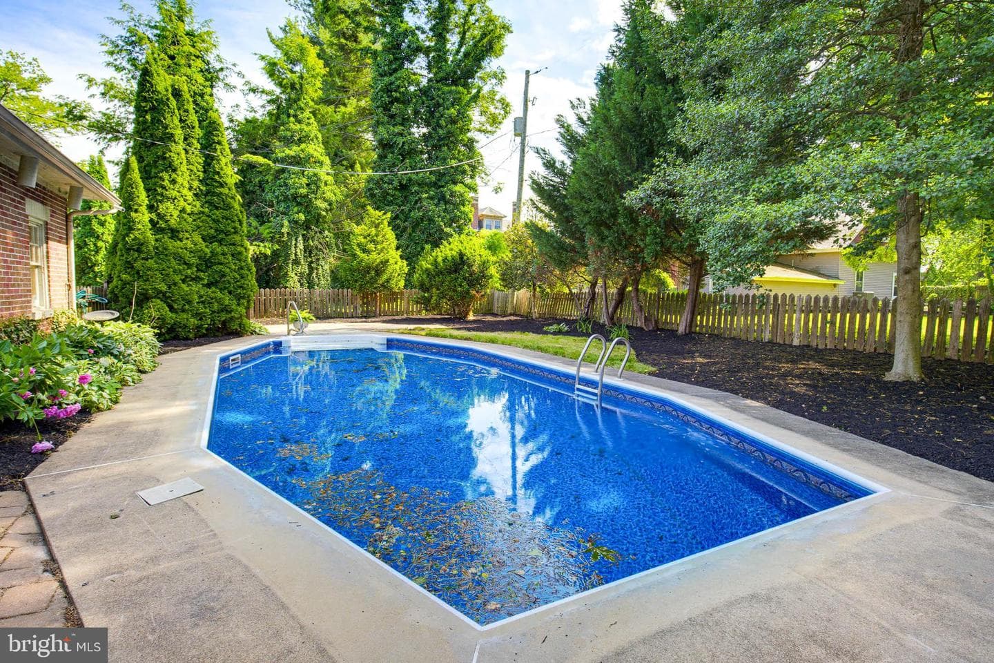 8 Mayfield Drive photo 39