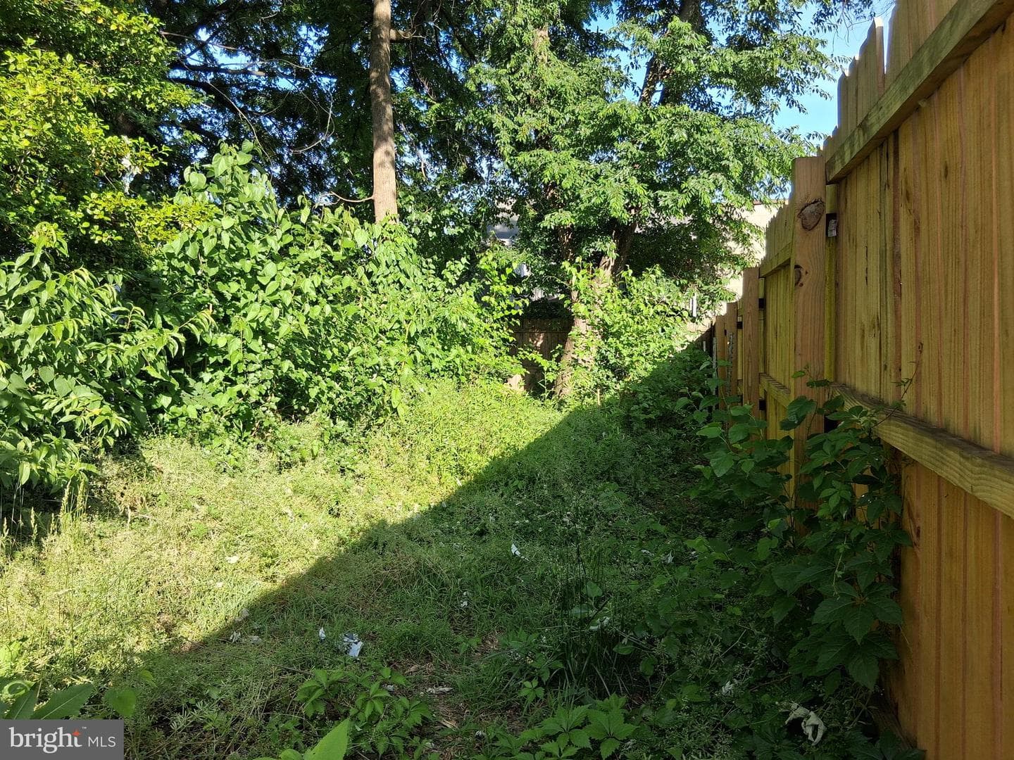 724 High Street photo 15