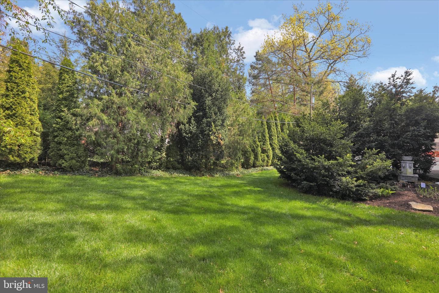 53 Jackson Drive photo 3
