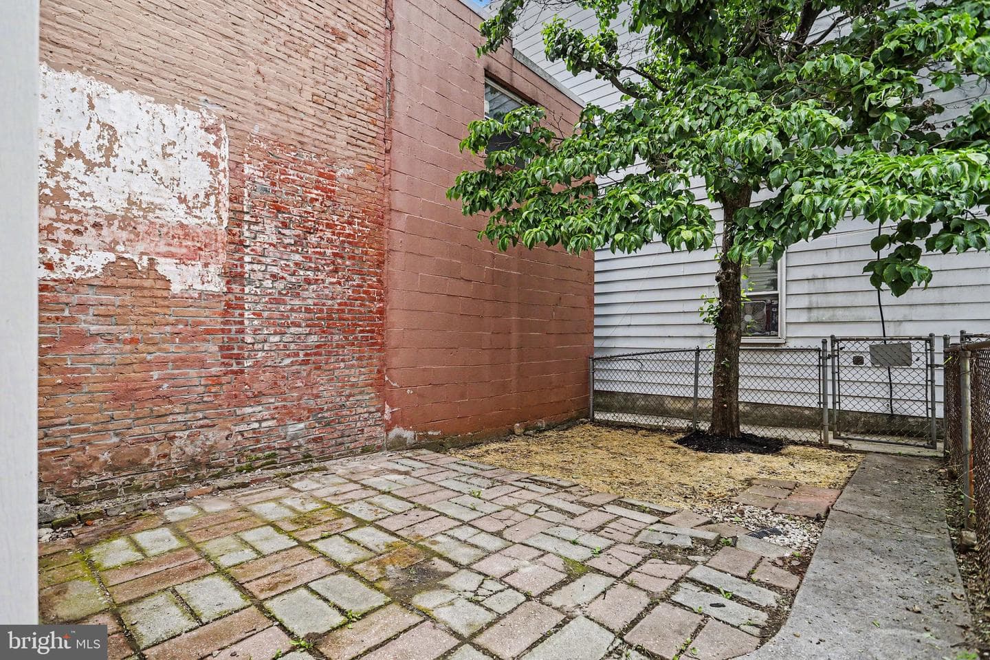 305 Cherry Street photo 25