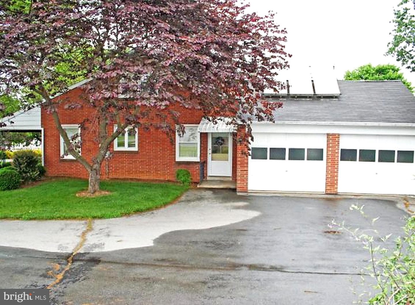 79 Glenbrook Road photo 5