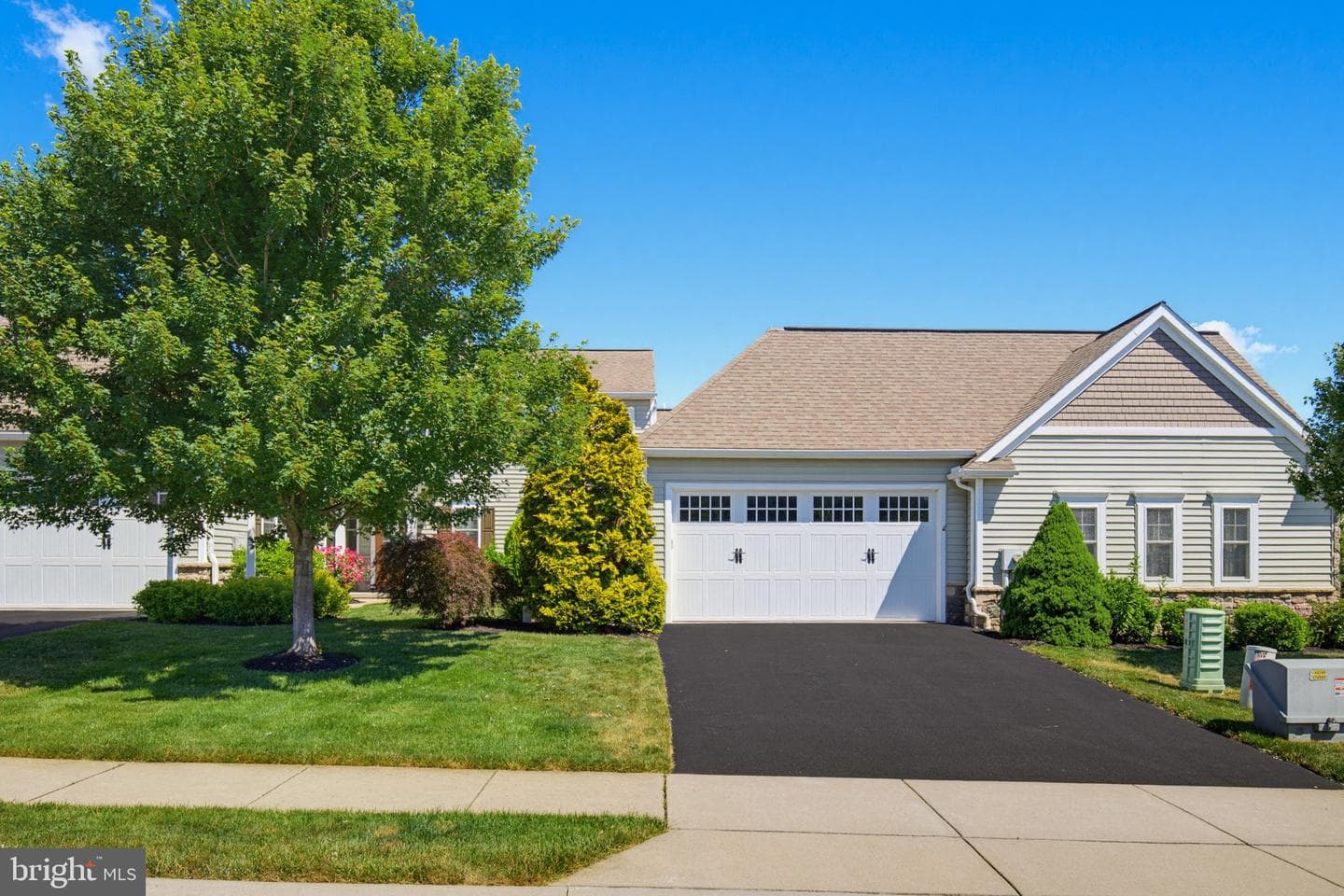347 English Ivy Drive photo 3