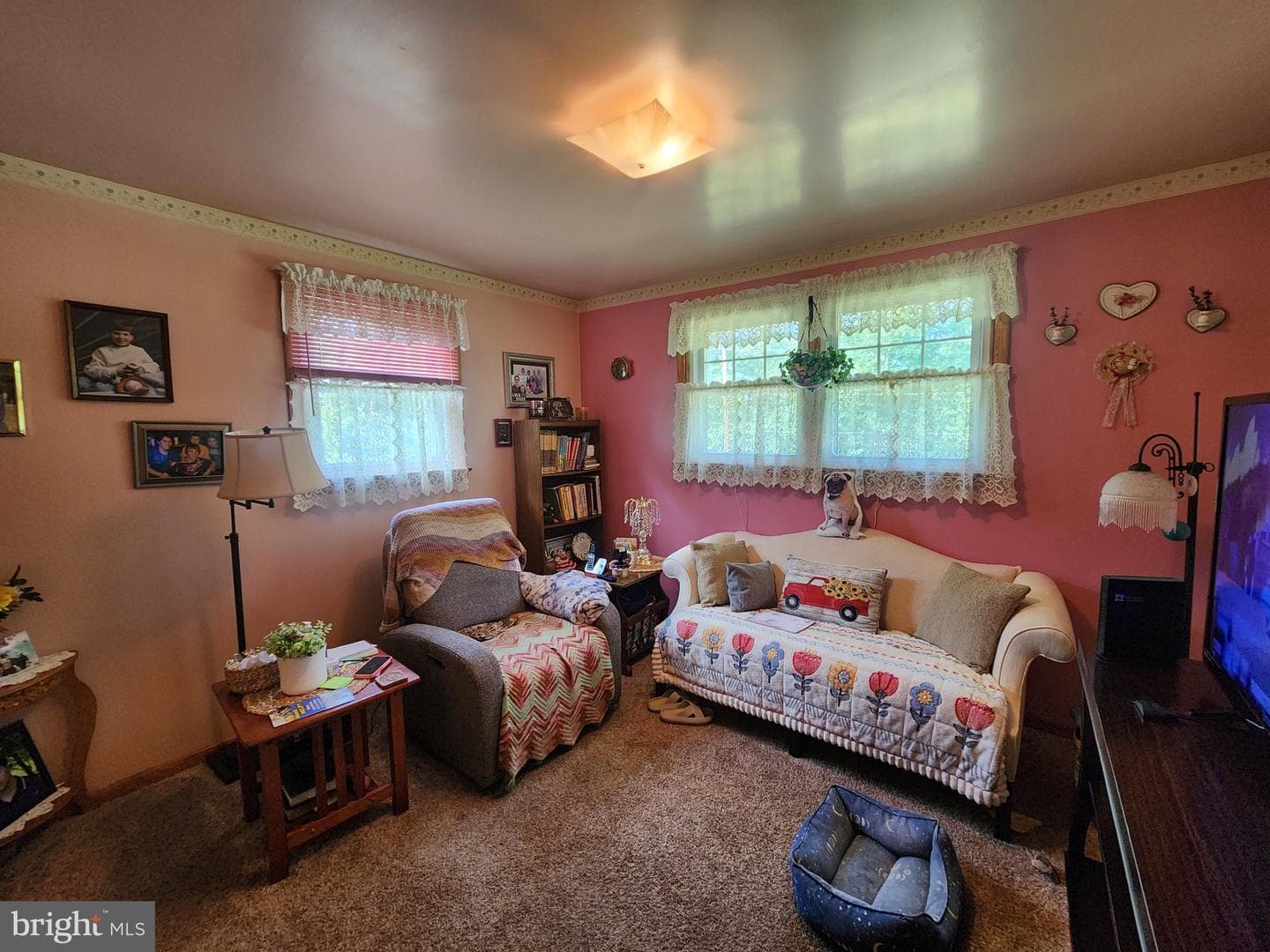 1217 Pieffer Hill Road photo 16