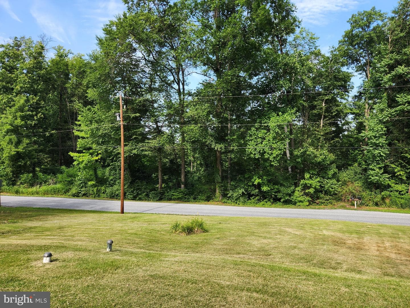 1217 Pieffer Hill Road photo 8