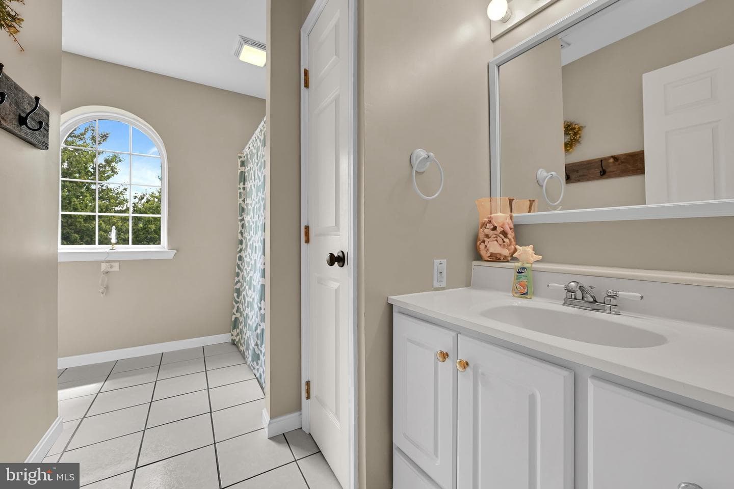217 Spruce Street photo 24