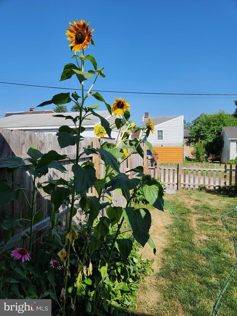 208 Perry Street photo 31