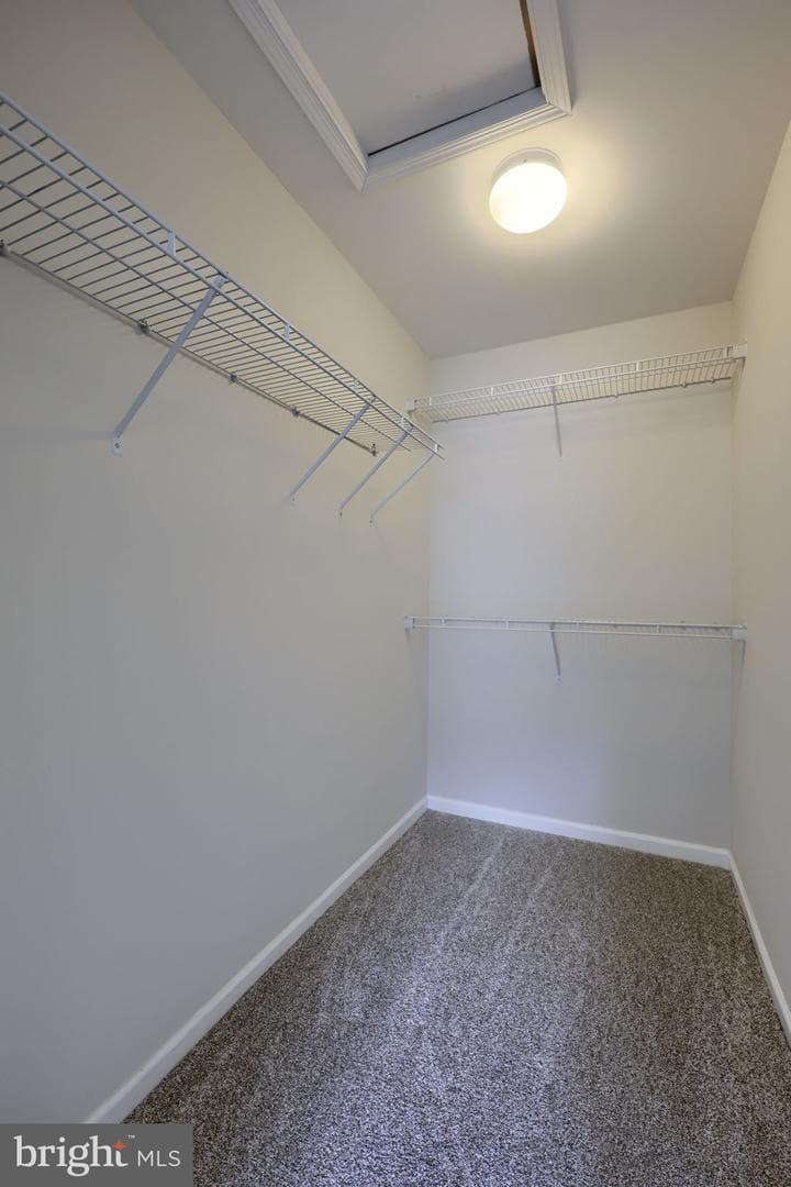 212 Eagle Drive photo 18
