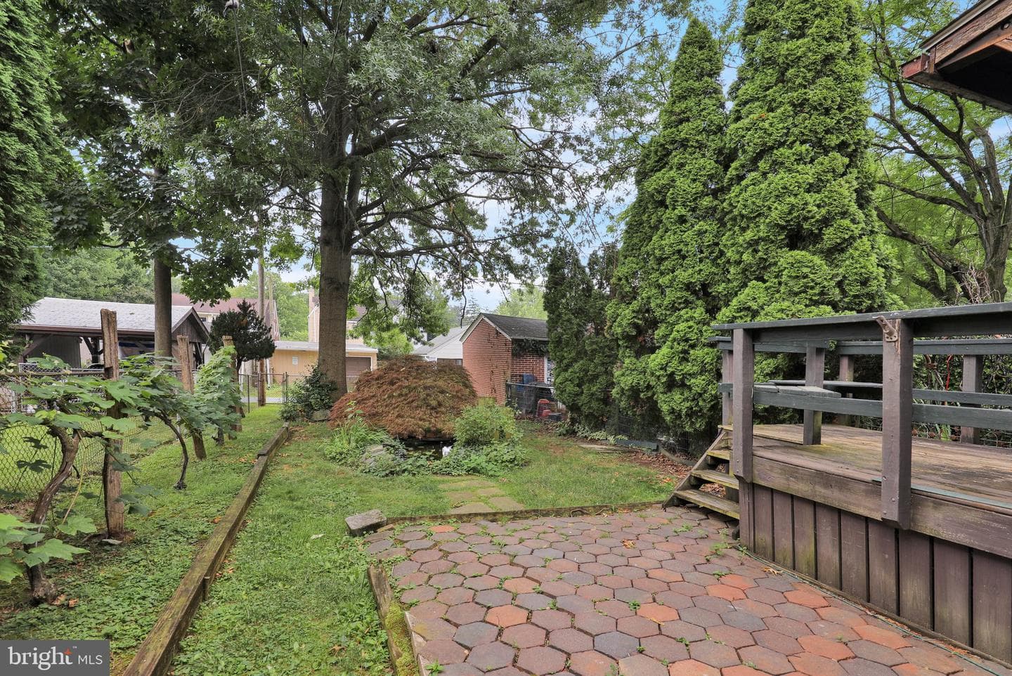 1194 Elm Avenue photo 4