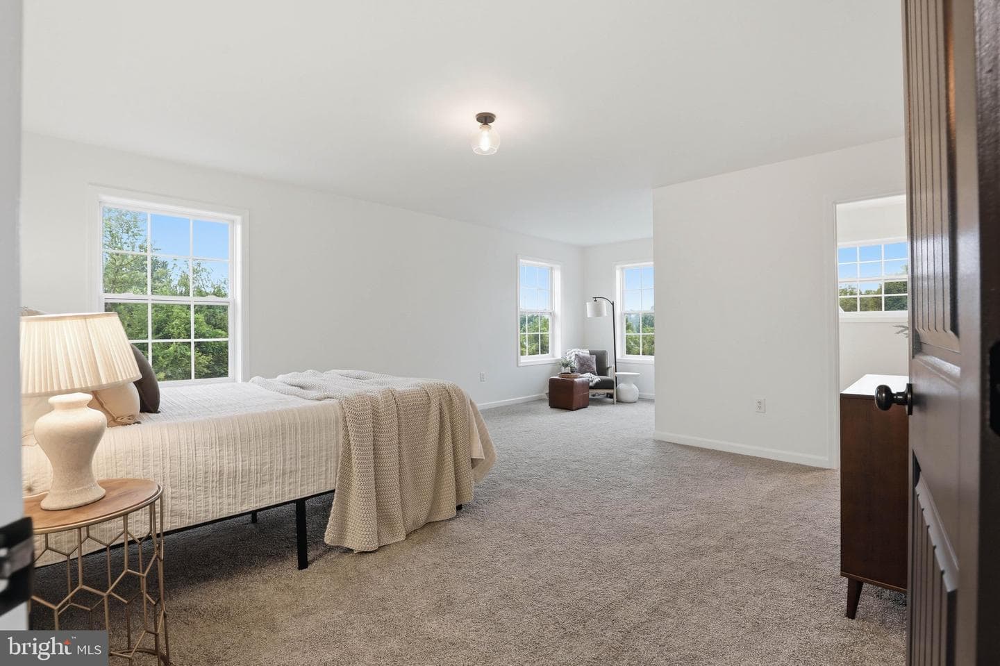125 Woodmeadow Drive photo 18