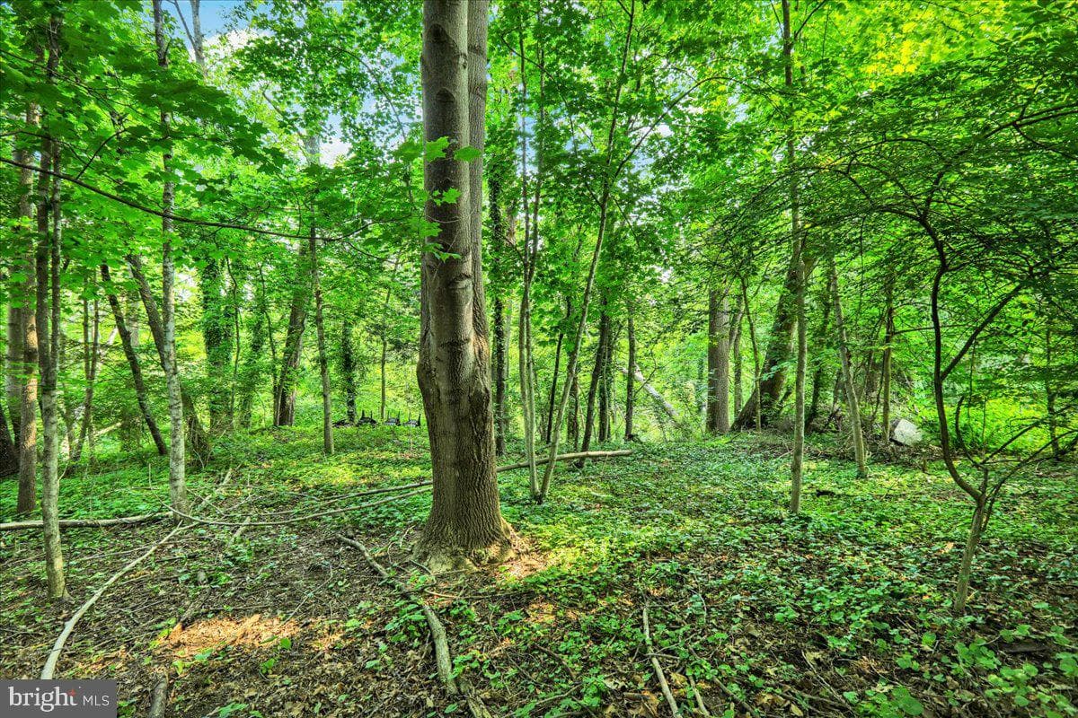 249 Letort Road photo 32