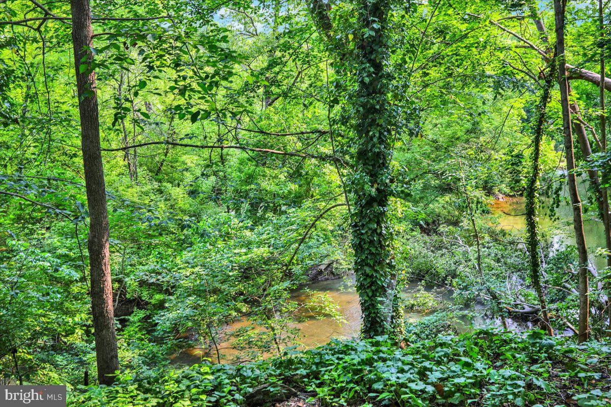 249 Letort Road photo 33