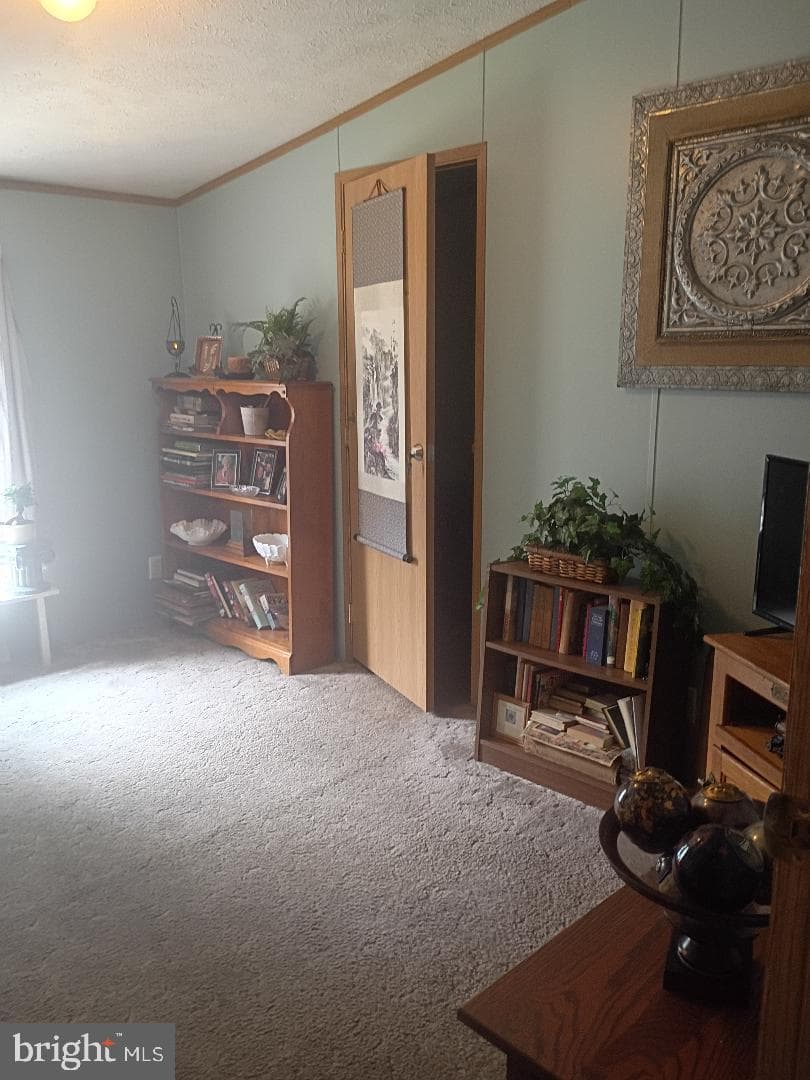 822 Sunny Lane photo 7