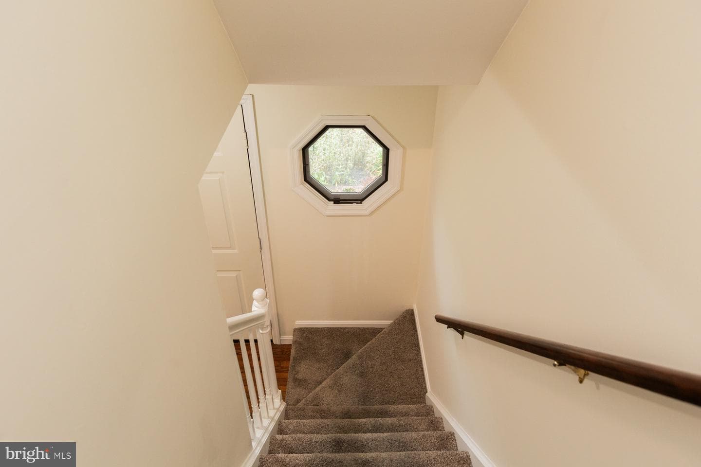 15 Blackberry Lane photo 53