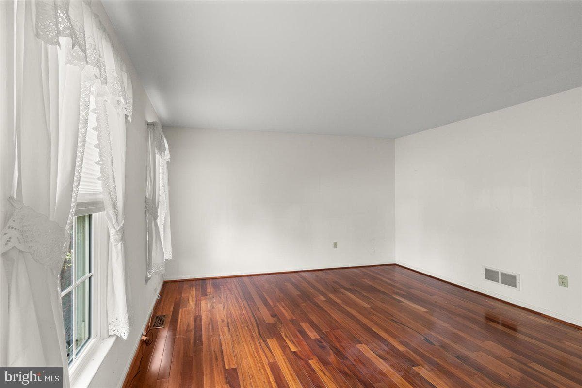 41 Apricot Avenue photo 7