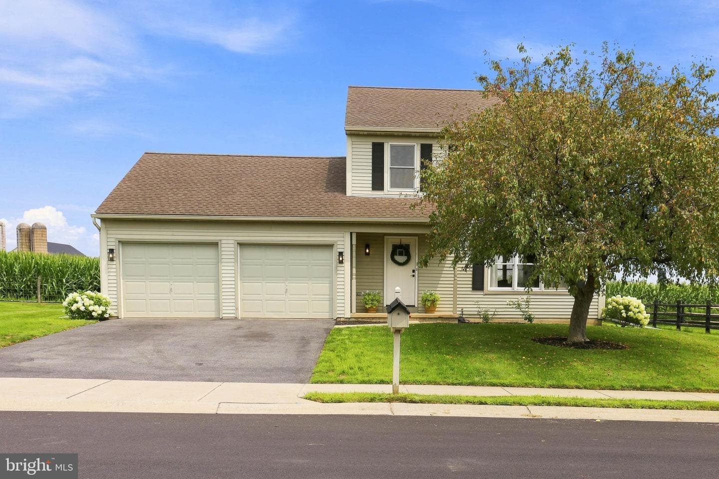 313 Willow Lane photo 1