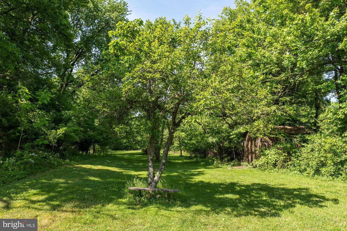 1755 Minesite Road photo 29