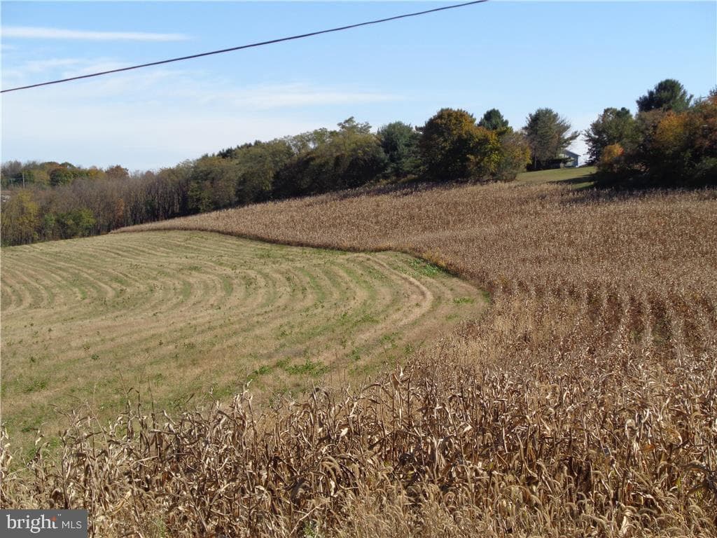6975 Country Spring Road photo 26
