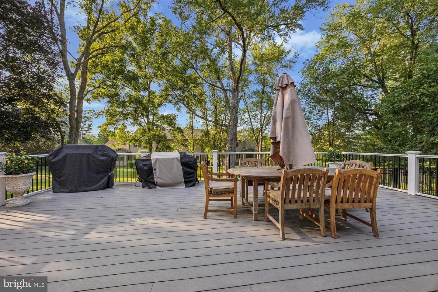 3195 Friedens Lane photo 45