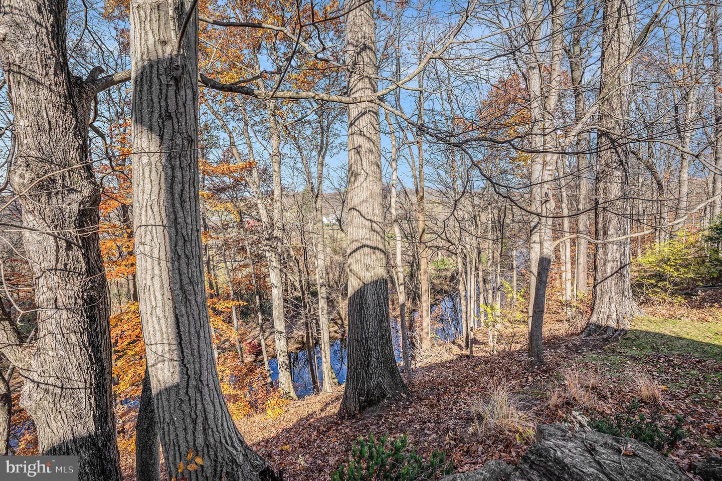 3186 Overlook Drive photo 46