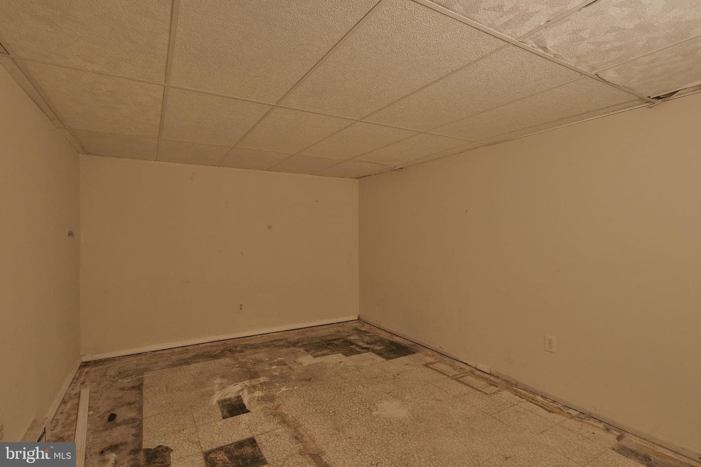 210 S 16th Street photo 74