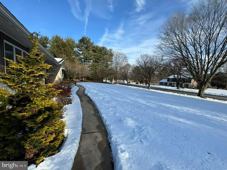 4377 Astor Drive photo 2