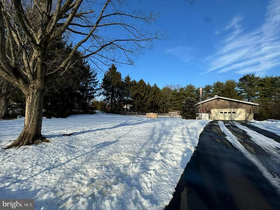 4377 Astor Drive photo 3