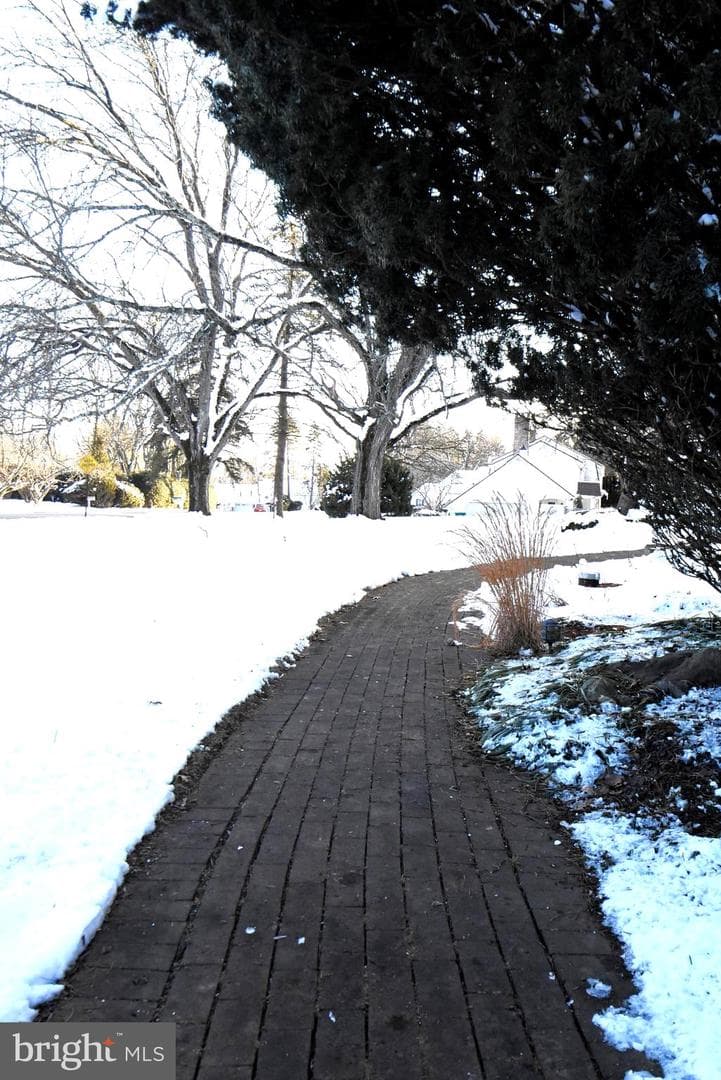 1850 Briarcliff Terrace photo 50