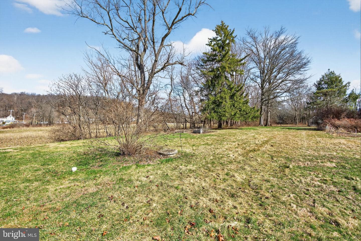 3797 Chestnut Road photo 37