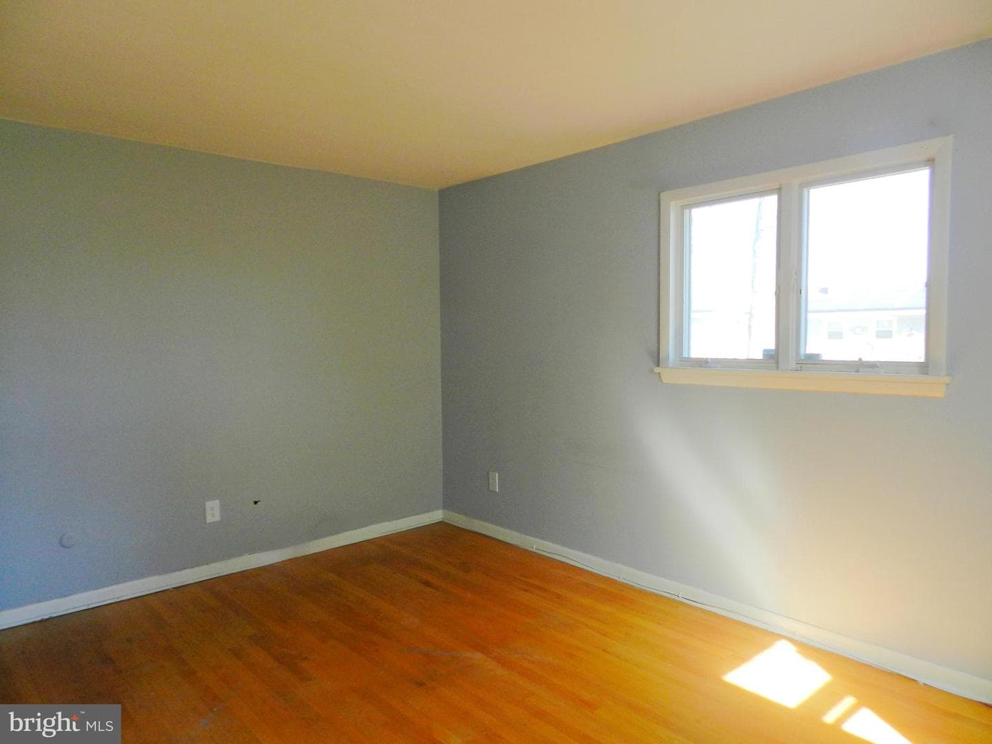 1055 Pine Tree Drive photo 21