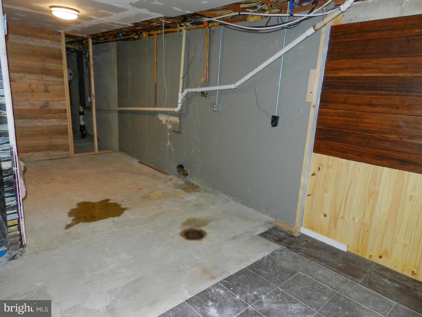 1055 Pine Tree Drive photo 34