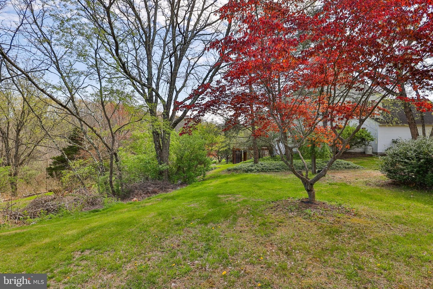 8332 Willow Run photo 45
