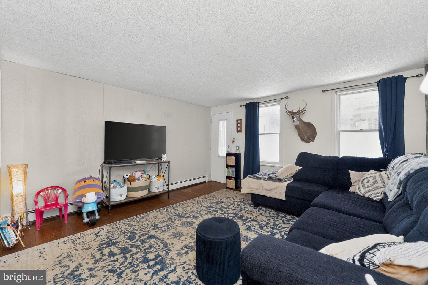 233 Adrain Street photo 5