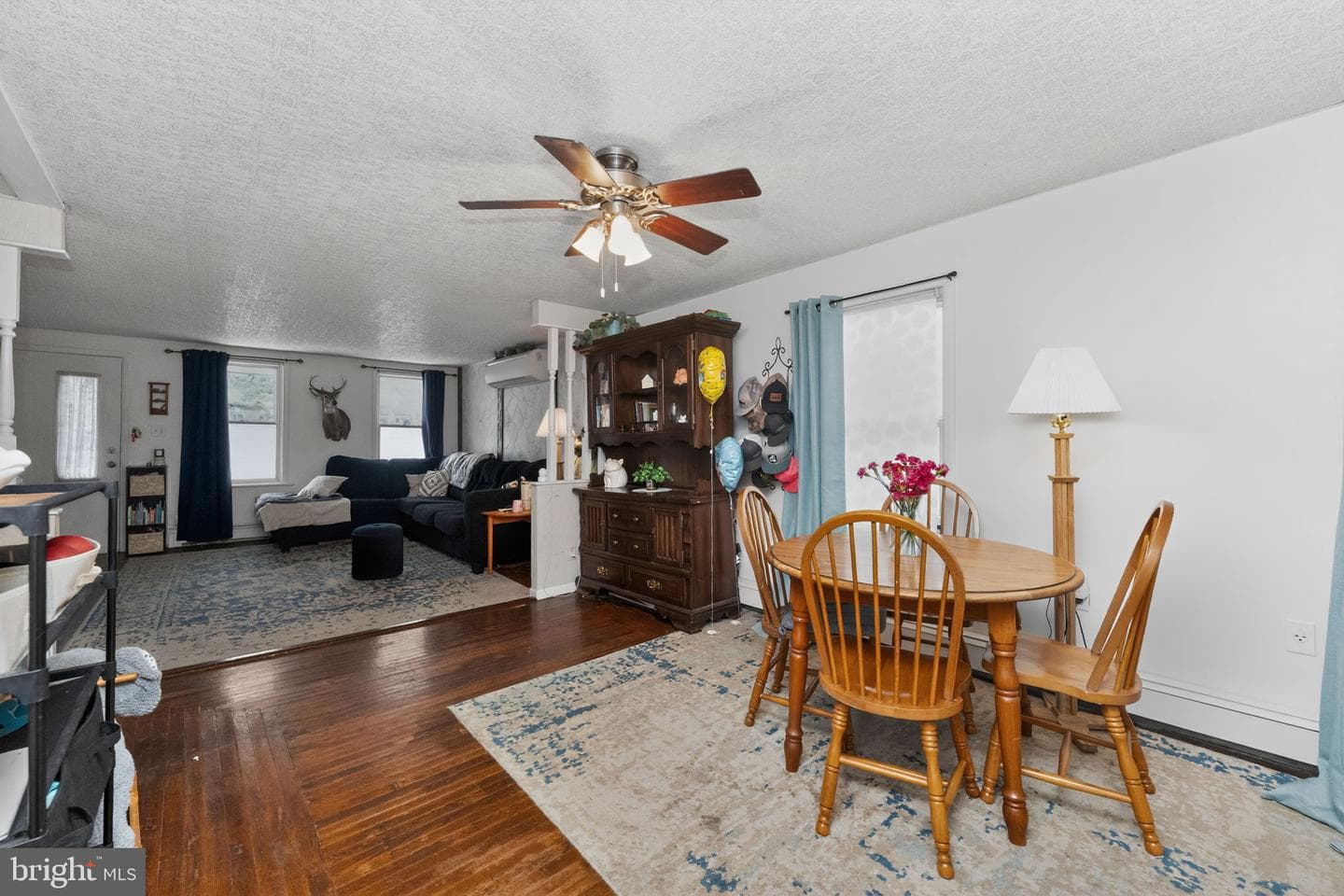 233 Adrain Street photo 8