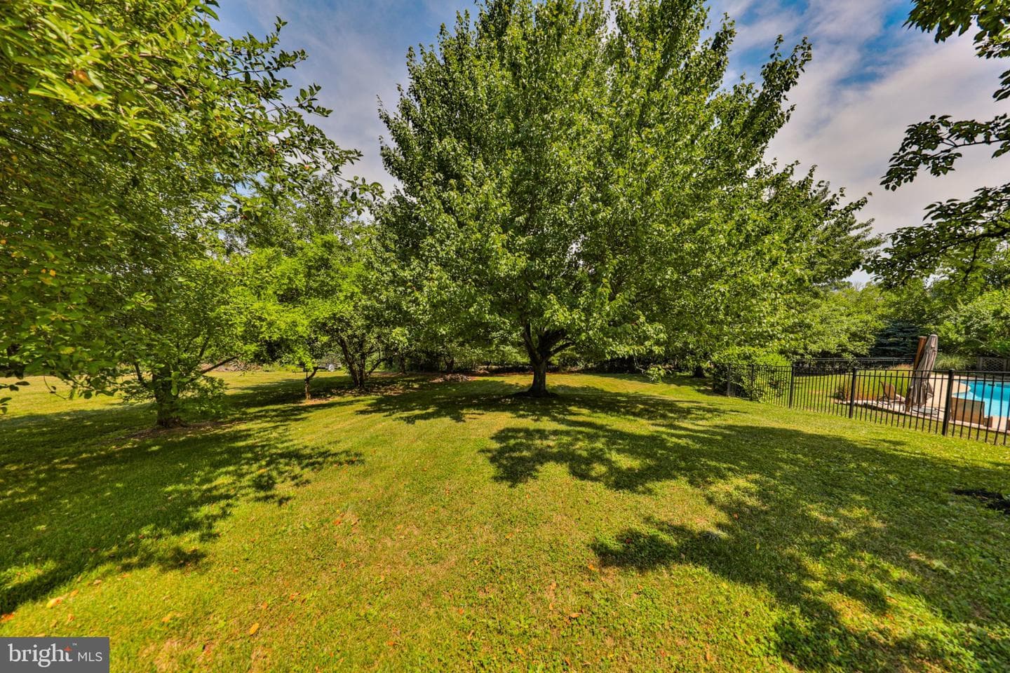1639 Ashley Court photo 80