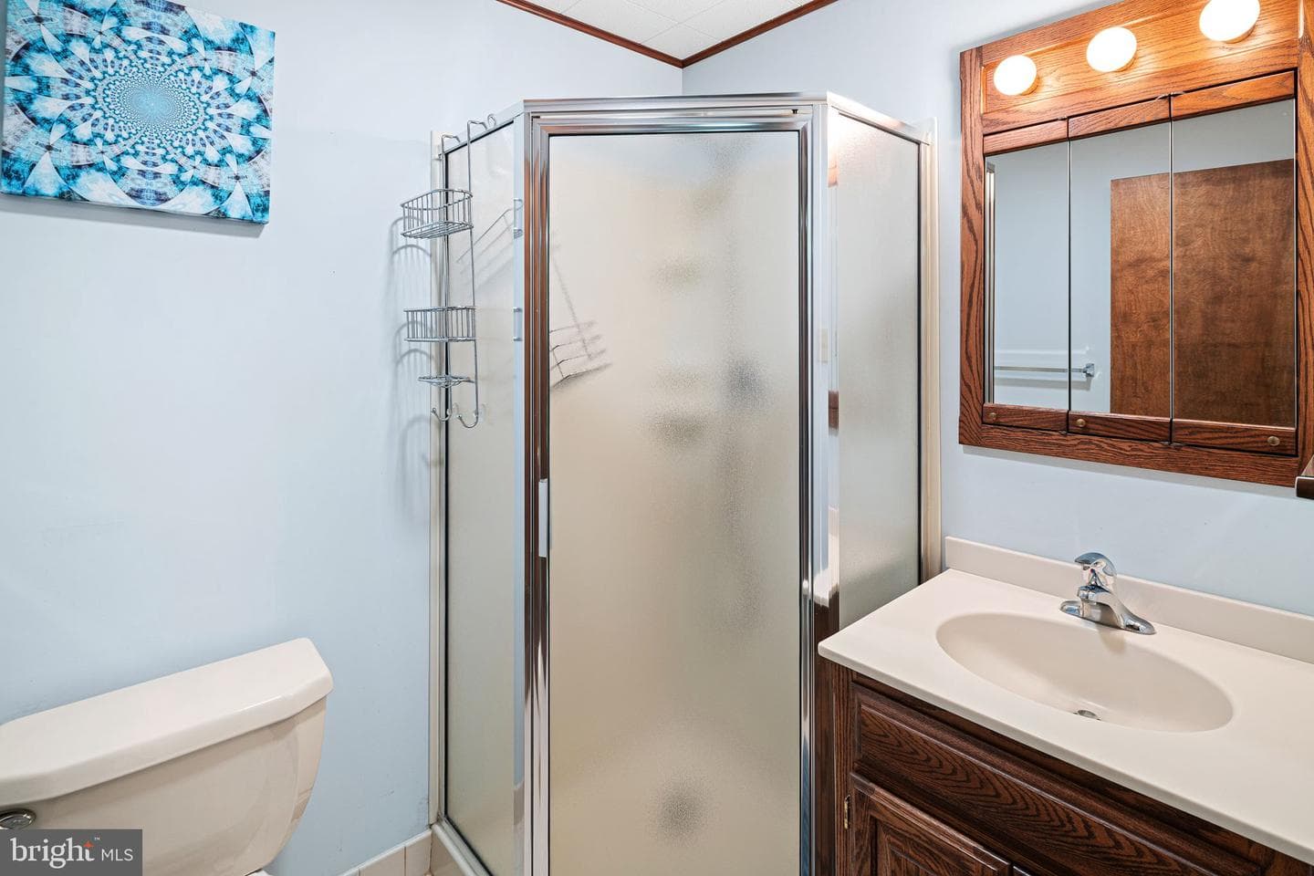2705 W Chew Street photo 42