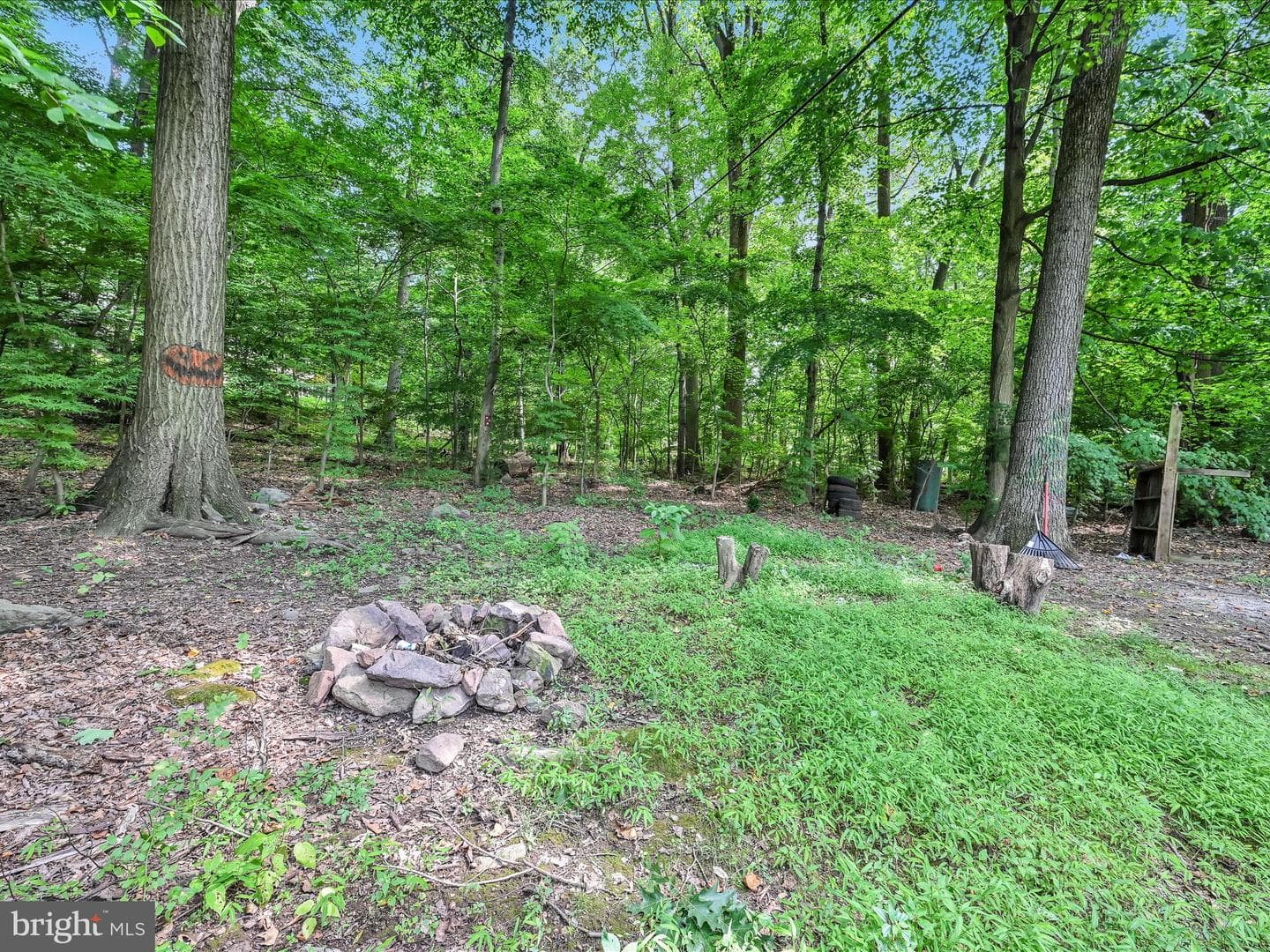 711 Beech Street photo 24