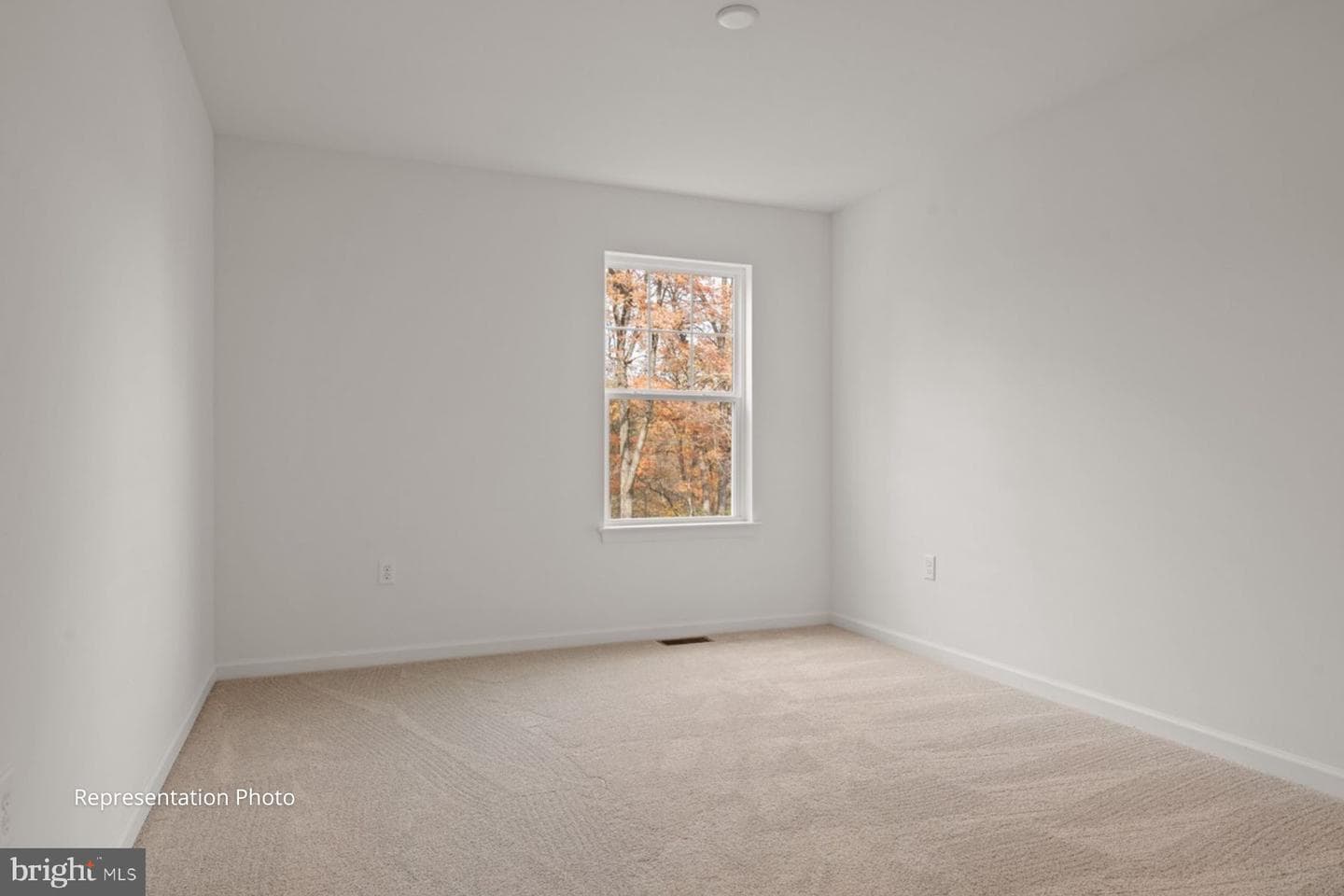 115 Beech Tree Court #074-12 photo 14