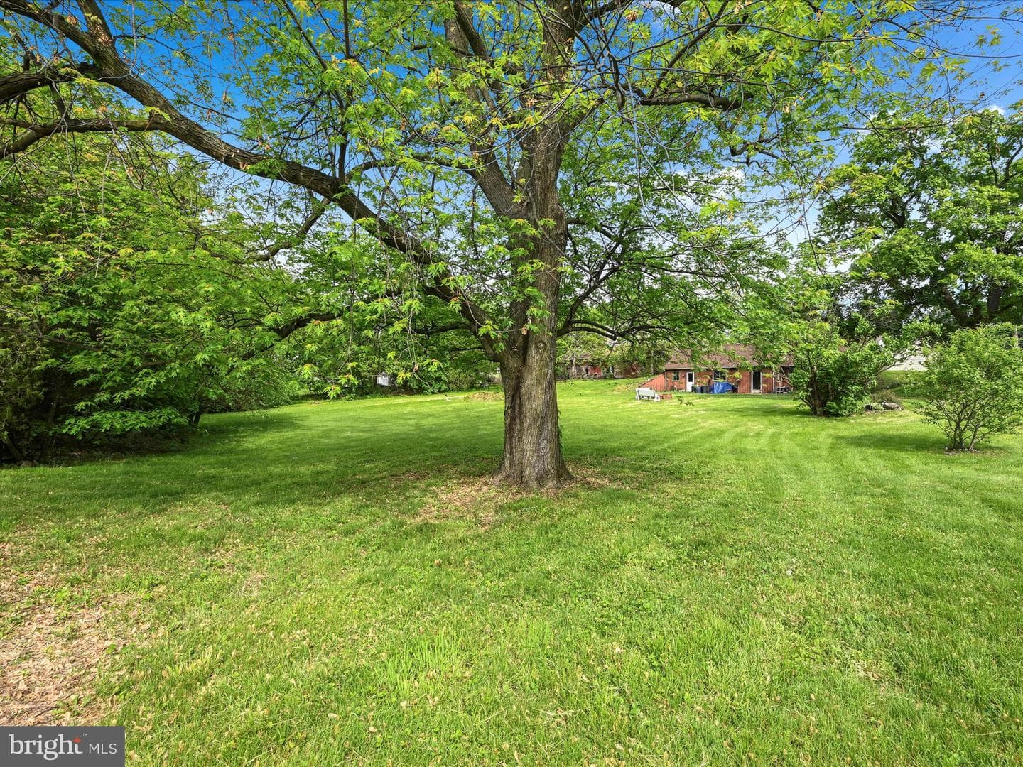 925 Mount Zion Road photo 26