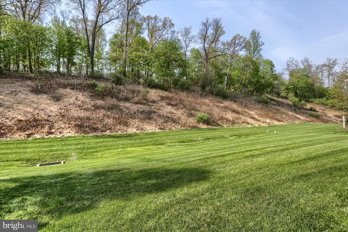 1033 Northgate Drive photo 30