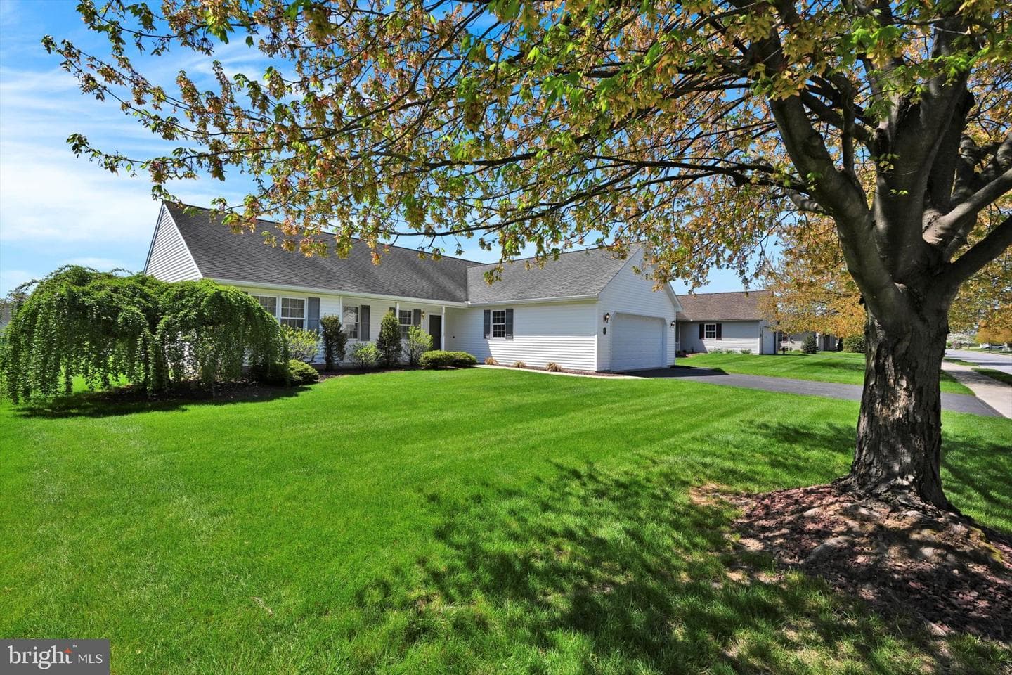 14 Rosemont Drive photo 2