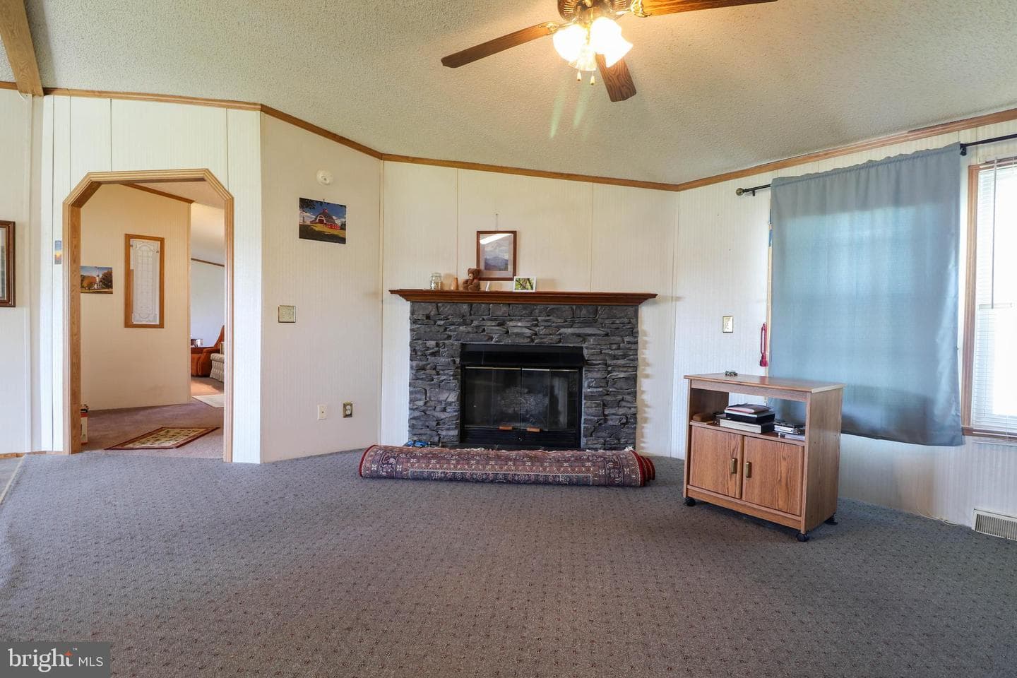 218 W Spruce Street photo 19