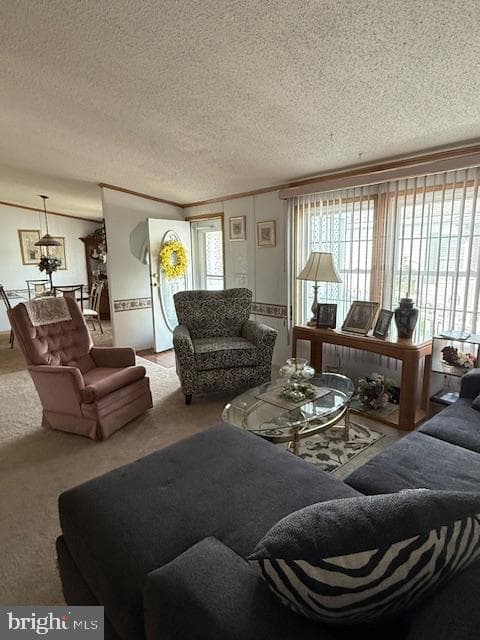 348 W Spruce Street photo 11