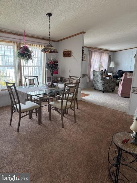 348 W Spruce Street photo 12